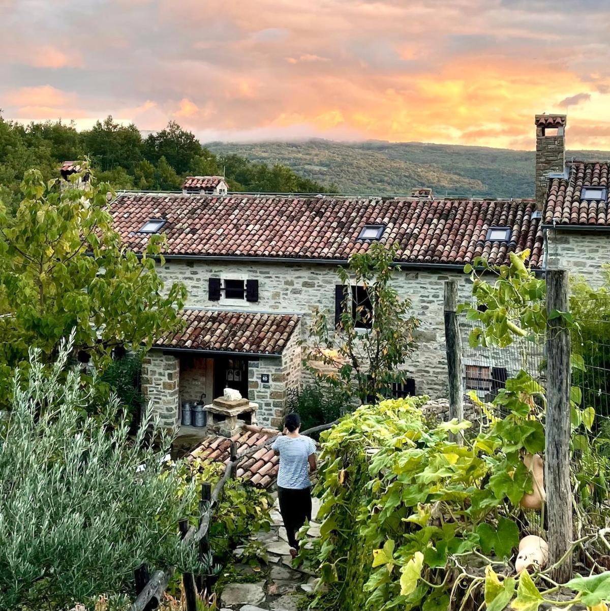 Bolara 60: The Cottage Grožnjan Eksteriør billede