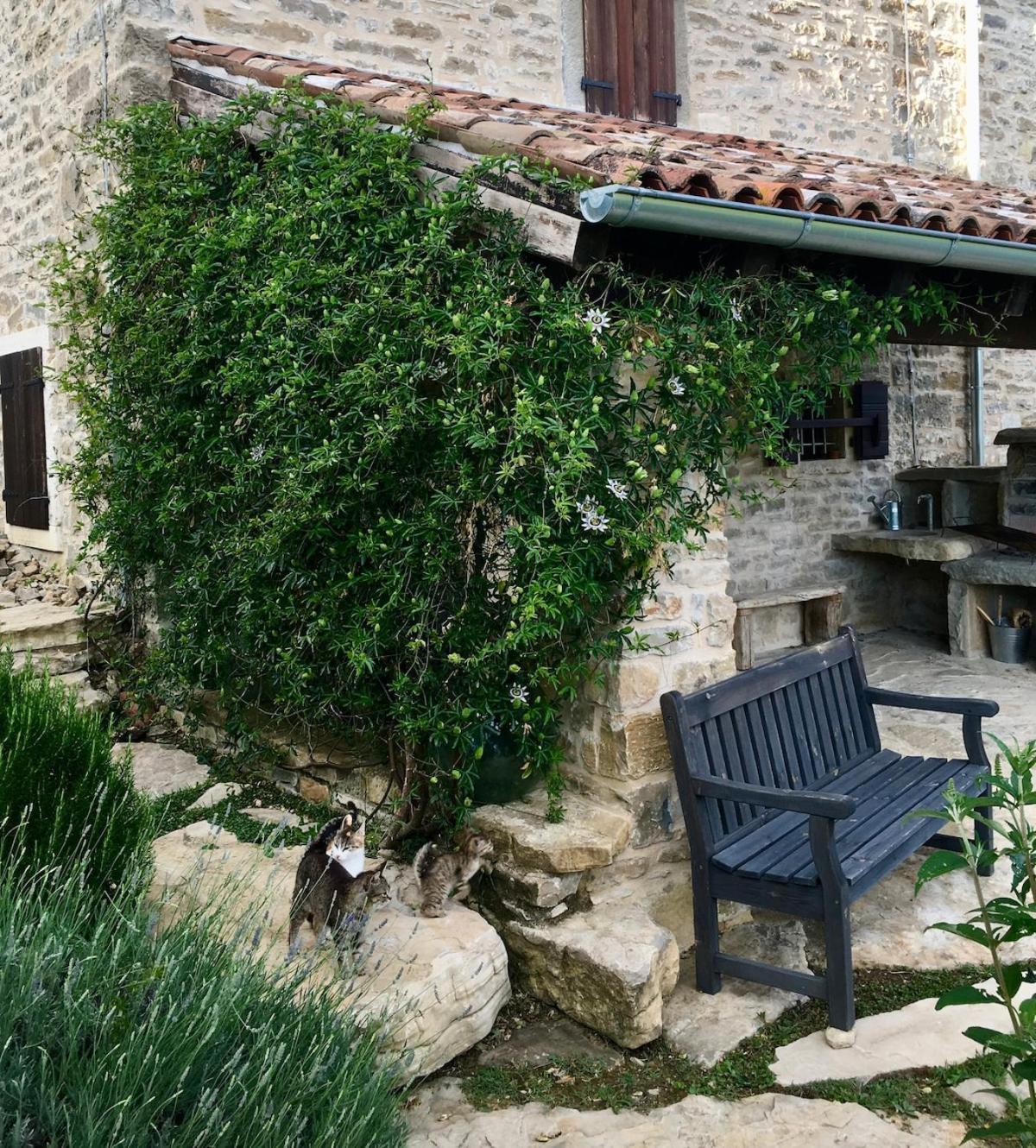 Bolara 60: The Cottage Grožnjan Eksteriør billede